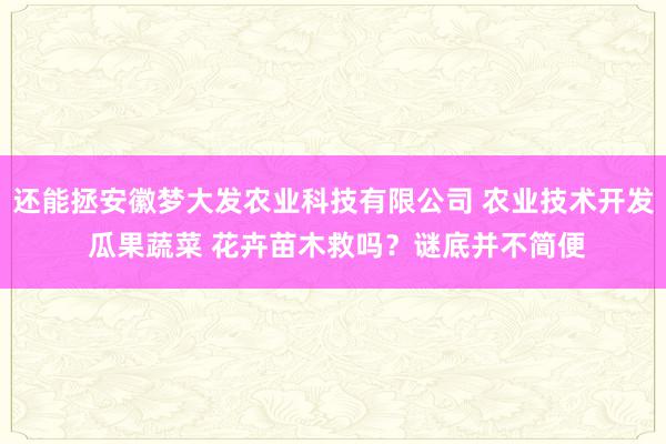 还能拯安徽梦大发农业科技有限公司 农业技术开发 瓜果蔬菜 花卉苗木救吗?谜底并不简便